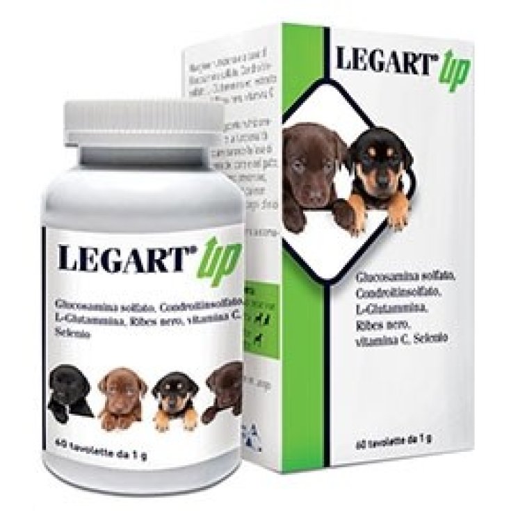 Legart Up - 120X1GR