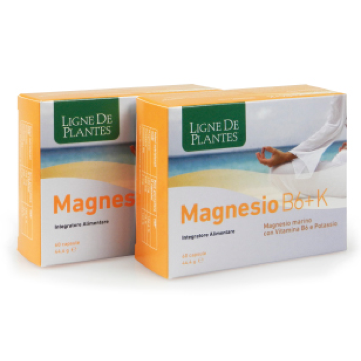 Magnesio B6+K Ligne De Plantes 60 Capsule Magnesio B6+K Ligne De Plantes 60 Capsule