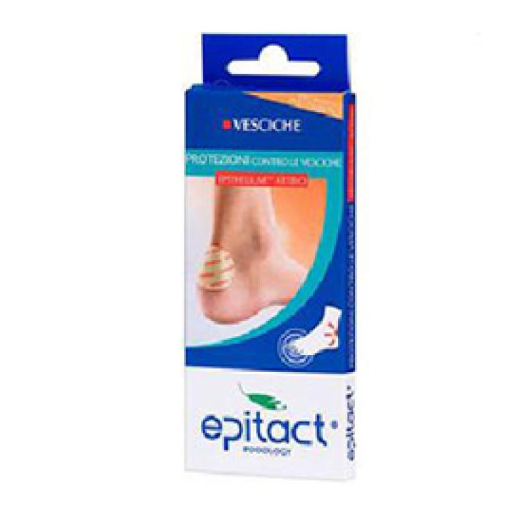 Epitact Prot Vescic Epithelium