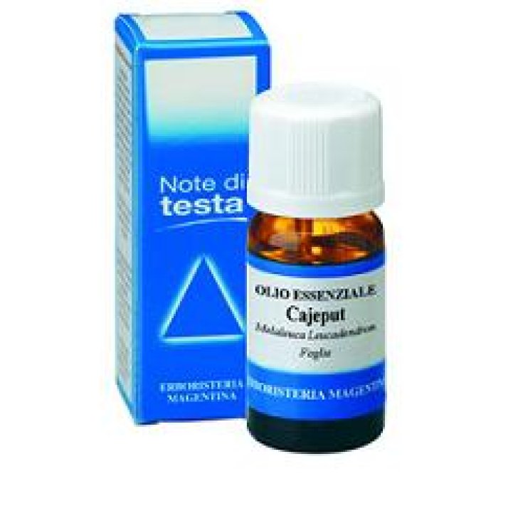 Cajeput Olio Ess 10ml