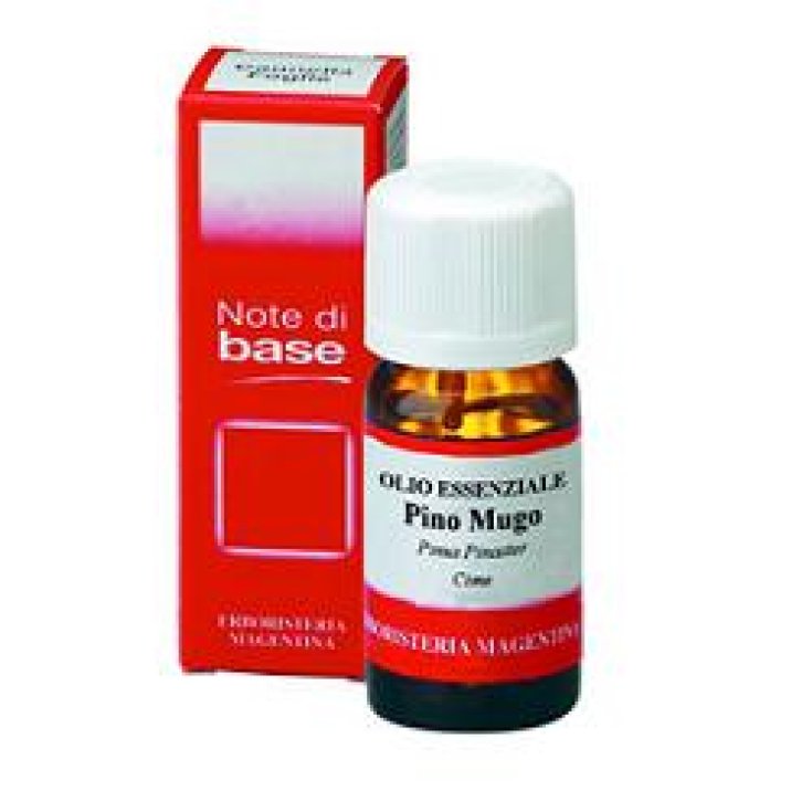 Pino Mugo Olio Ess 10ml