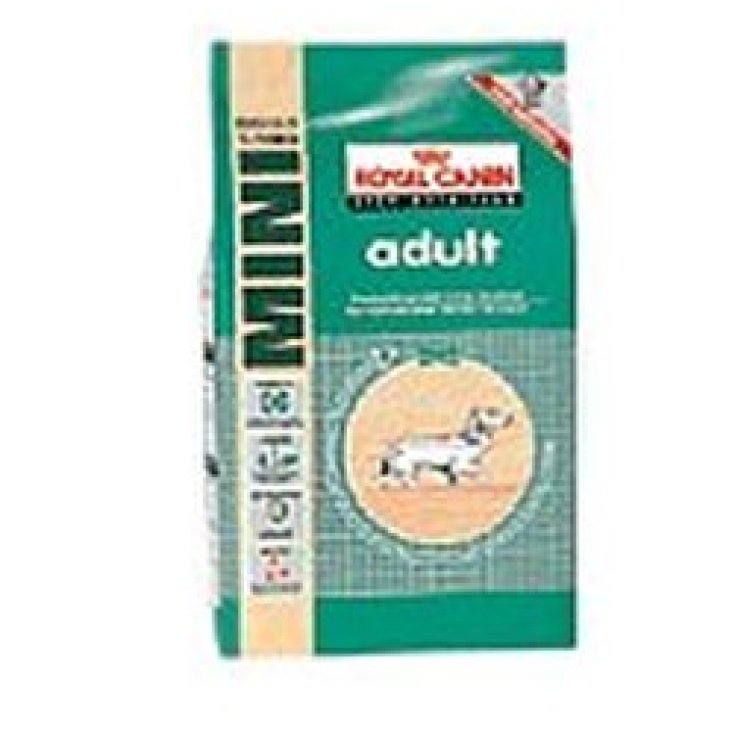 Mini Adult - 2KG