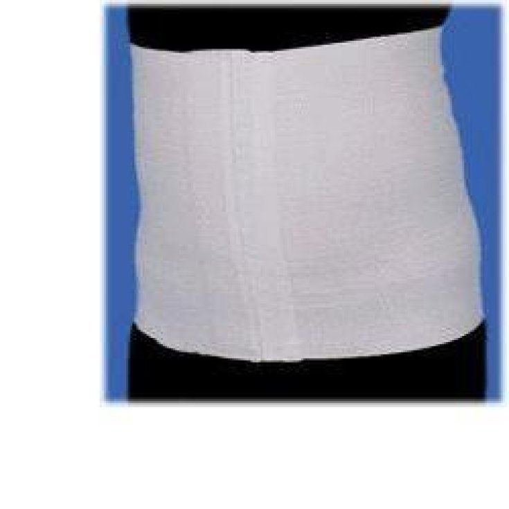 Orione 3333 Fascia H27cm L