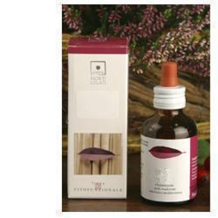 Santiveri Ribes Nigum Estratto Gliceroalcolico 50ml