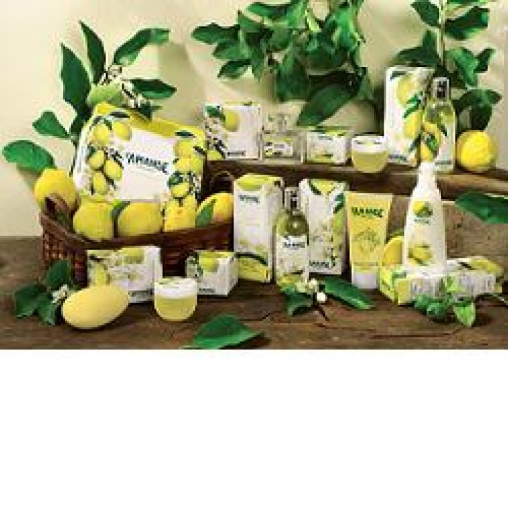 L'amande Fior Di Limone Gel Doccia Aromatico