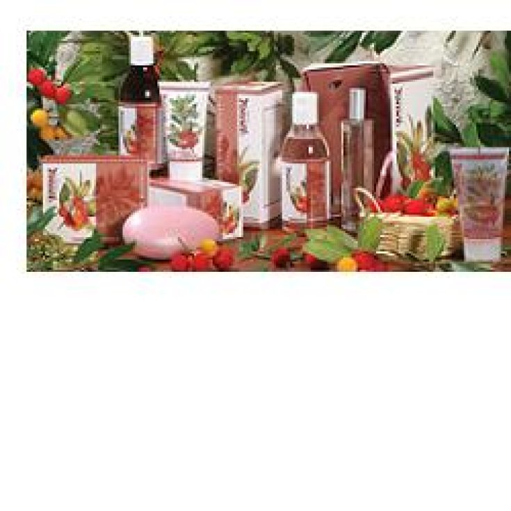 L'Amande Sambuco & Corbezzolo Crema Corpo