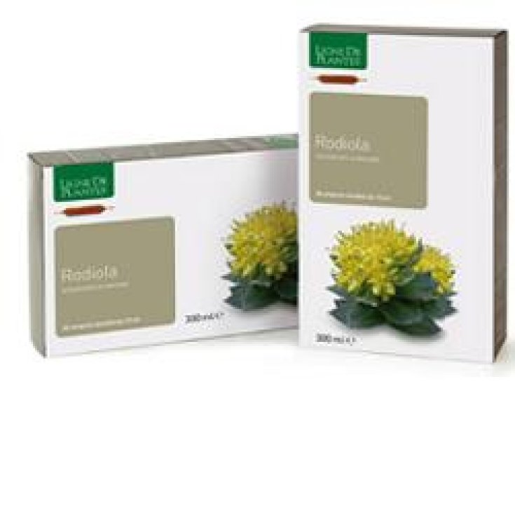Natura Service Rodiola Integratore Alimentare 20 Ampolle Bevibili 15ml