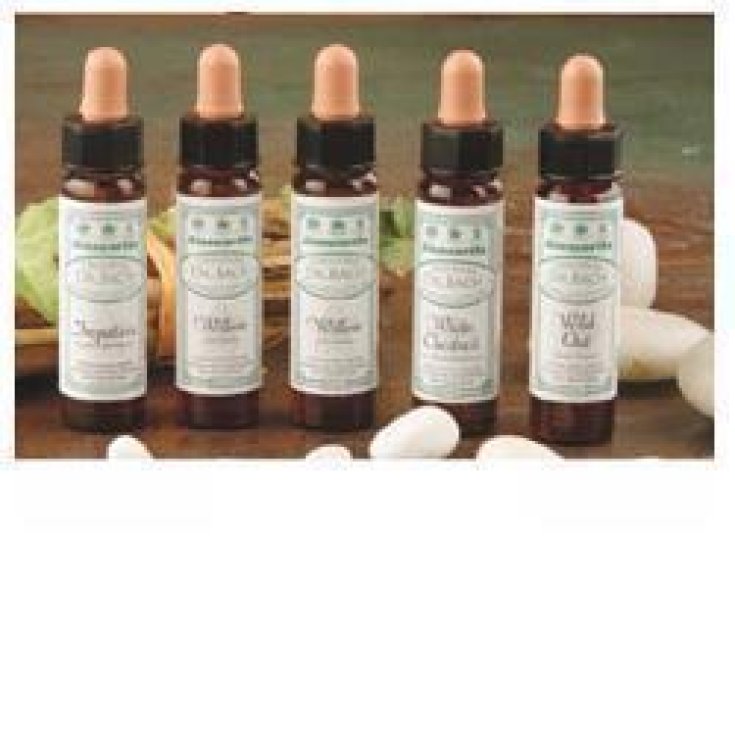 Santiveri Ainsworths Wild Rose Fiori Di Bach 10ml