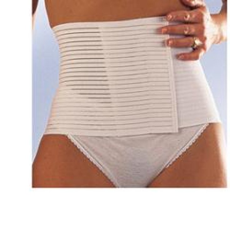Scudotex Cintura Universale Altezza 16cm TAGLIA 4 1 Pezzo