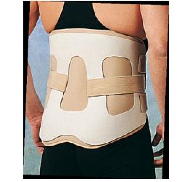 Ro+Ten Chairback Corsetto Rigido Lombare Misura L 1 Pezzo