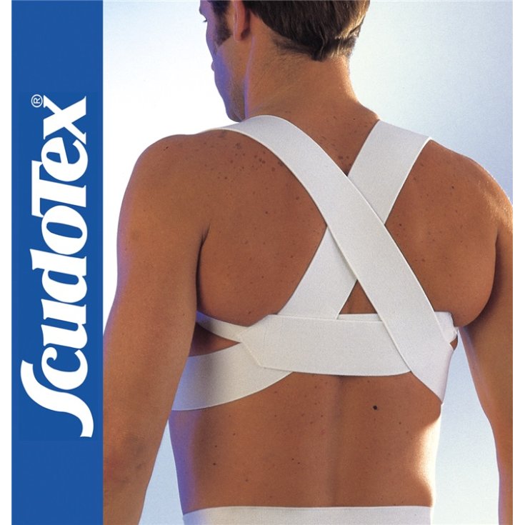 Raddrizzaspalle Scudotex 1 Pezzo