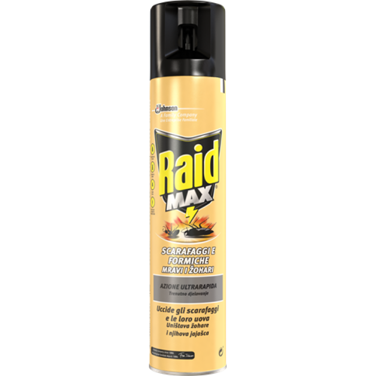 Raid MAX Scarafaggi E Formiche Johnson 300ml