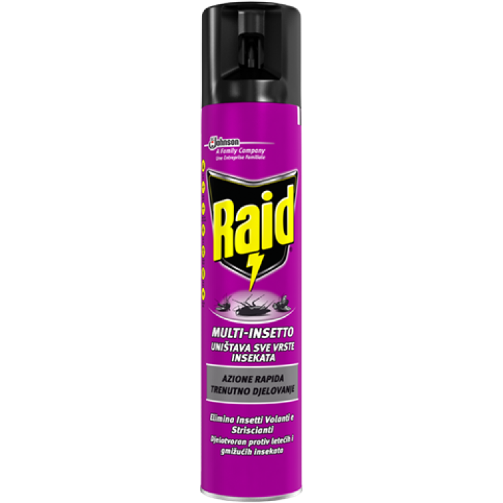 Raid Multi-Insetto Spray 300ml