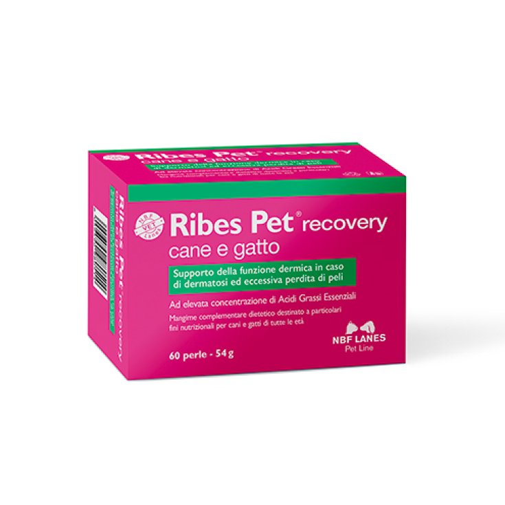 Ribes Pet Perle Recovery - Perle