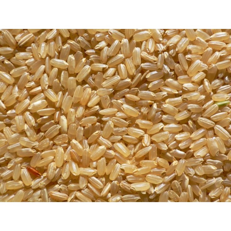 Riso Integrale Farmagourmet 1kg