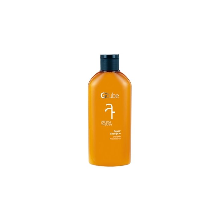 Shampoo Ristrutturante Aroma Teraphy Gcube&reg; 200ml