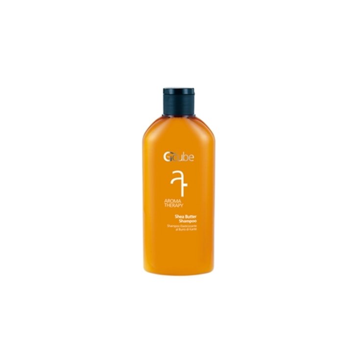 Shea Butter Shampoo Aroma Teraphy Gcube&reg; 200ml