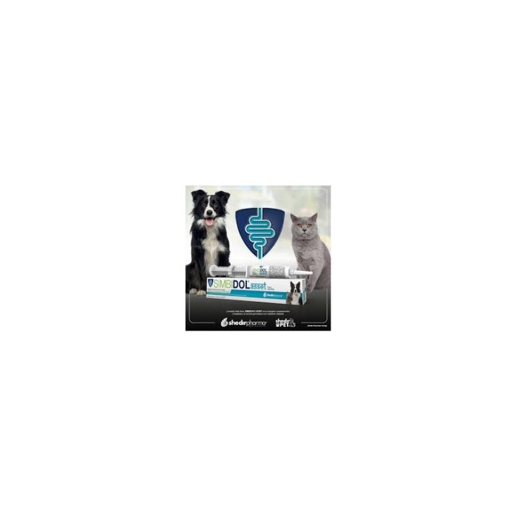 Simbidol&reg; Asset Pasta ShedirPharma&reg; 1 Siringa da 15g