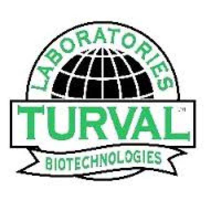 Laboratori Turval Italia Bioval Complex Granulato 20 Bustine