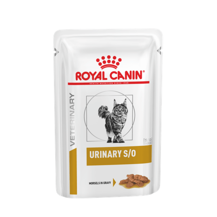 Veterinary Diet Urinary S/O Morbido Pat&egrave; - 12X85GR