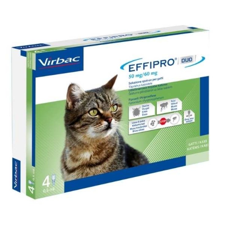 Effipro Duo Gatto - 24X0,50ML
