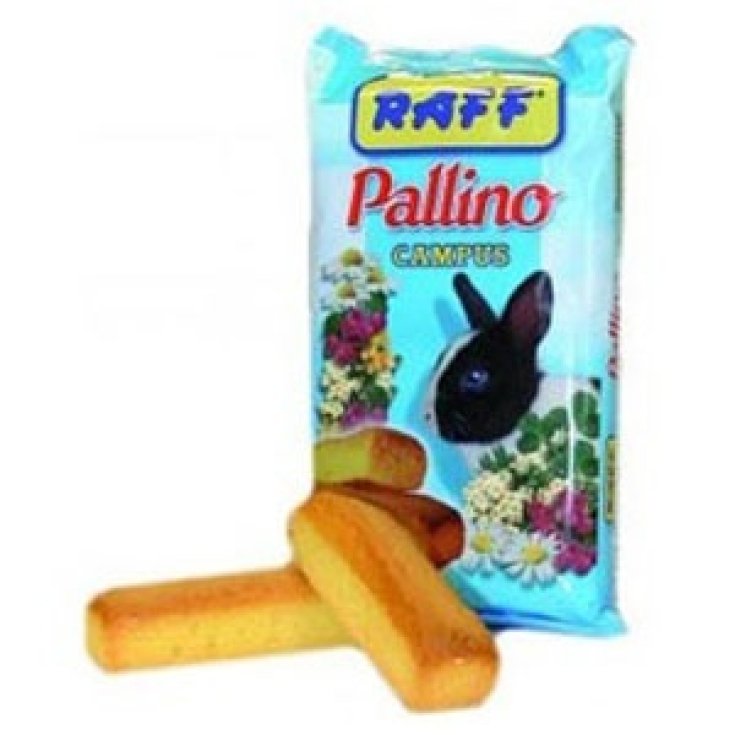 Pallino Campus - 5 pezzi da 35GR
