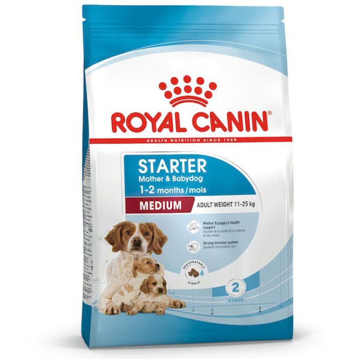 Medium Starter Mother & Baby Dog - 15KG