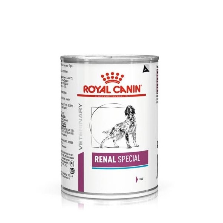 Veterinary Diet Renal Special - 410GR
