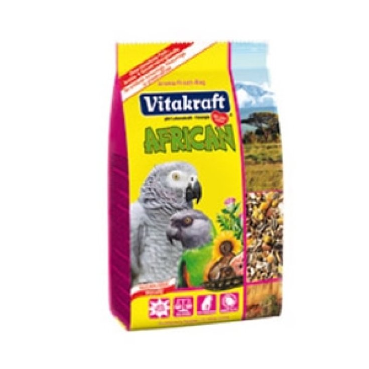 African Cenerini - 750GR