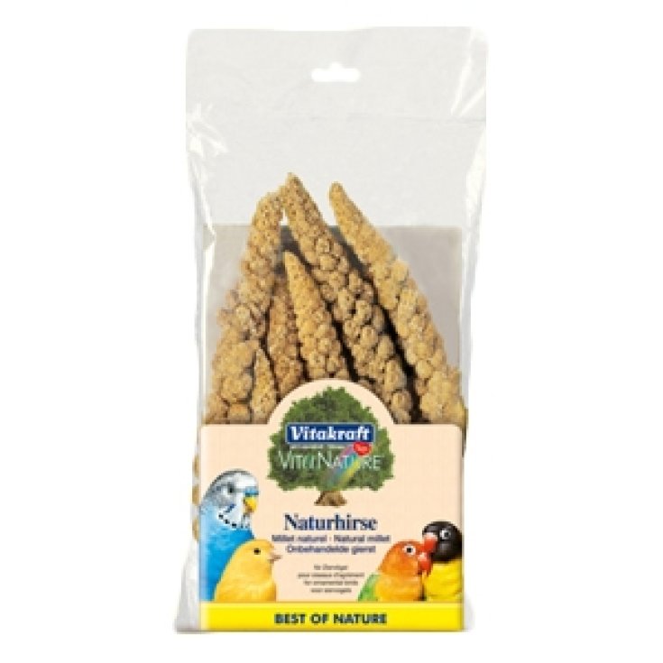 Spighe di Panico - 100GR