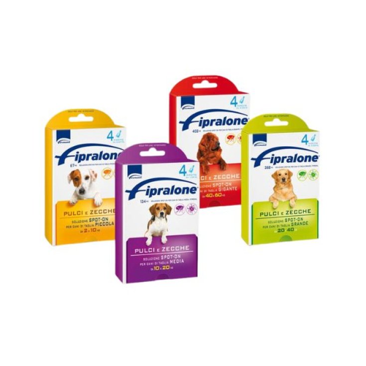 Fiproline Cane 4 Pipette - 4 Pipette da 4,02 ml - 40 - 60 Kg