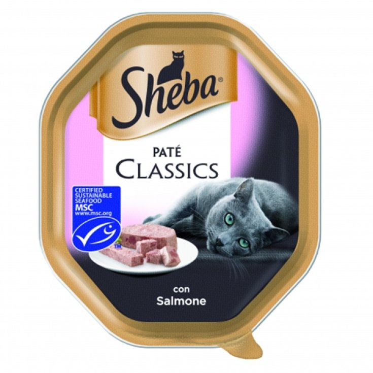 Pat&eacute; Classic con Salmone - 85GR