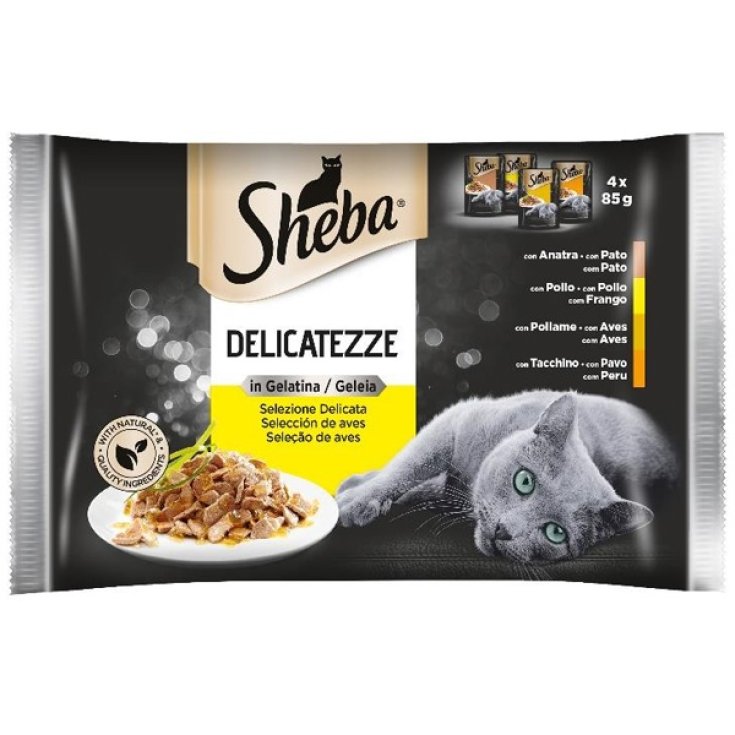 Delicatezze in Gelatina con Pollo - 85GR