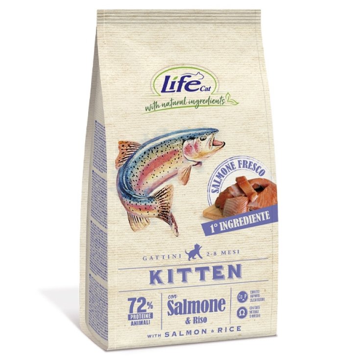 Natural Ingredients Kitten con Salmone - 1,50KG