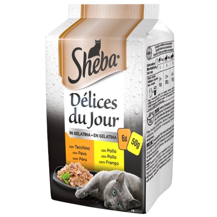 D&eacute;lices Du Jour con Tacchino e Pollo in Gelatina - 50GR