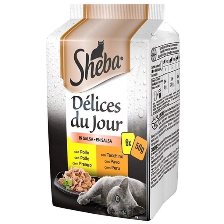 D&eacute;lices Du Jour con Pollo e Tacchino in Salsa - 6Xda 50Gr,