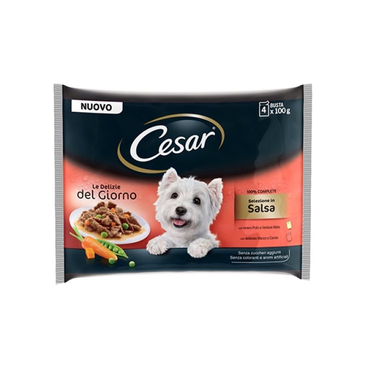 Delizie del Giorno Multipack Selezione in Salsa - 4X100GR