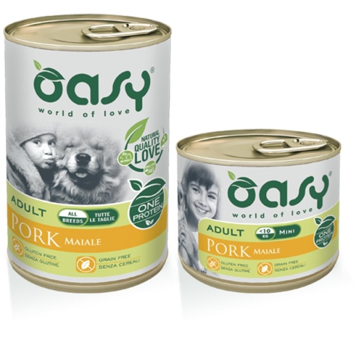 One Protein Adult Maiale - 200GR