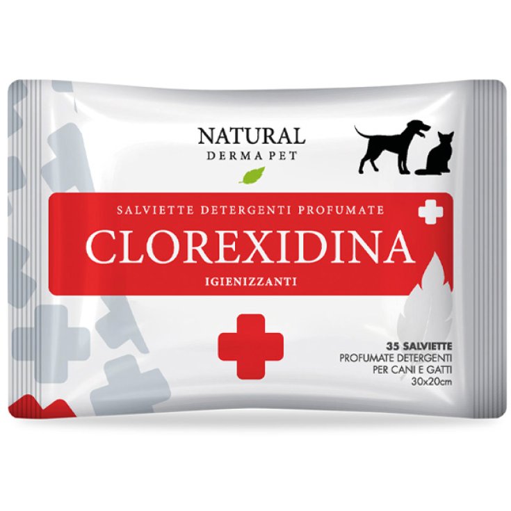 Salviette Detergenti alla Clorexidina - 100 Salviette
