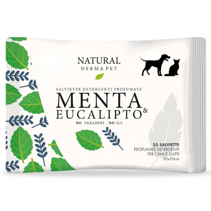 Salviette Detergenti Profumate alla Menta & Eucalipto - 35 Salviette