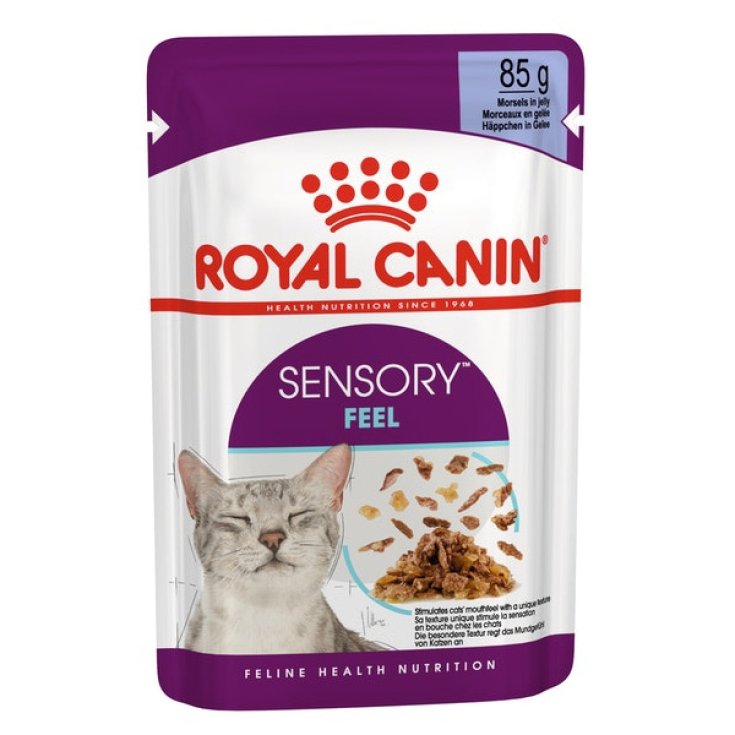 Sensory Feel Straccetti in Gelatina - 85GR