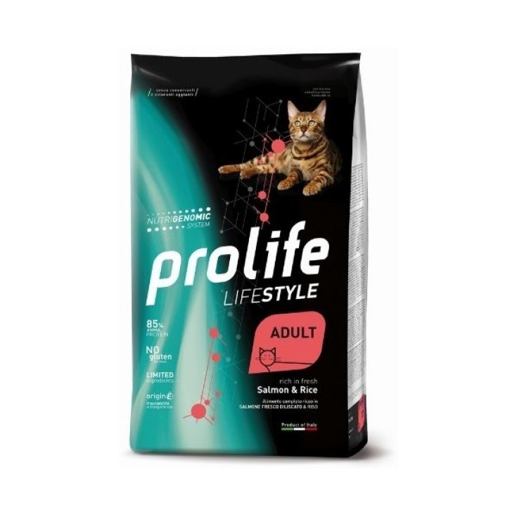 Life Style Adult Salmon & Rice - 400GR