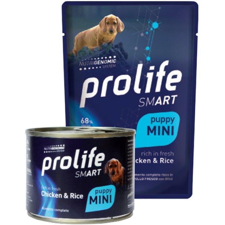 Smart Puppy Mini Chicken & Rice Umido - 200GR