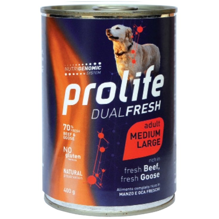 Dual Fresh Adult Medium/Large Beef & Goose - 400GR