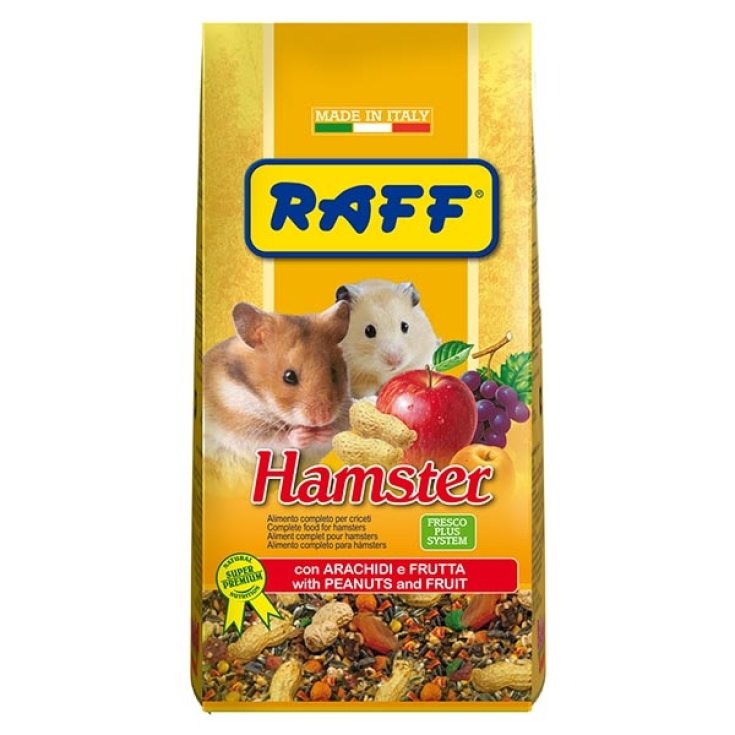 Hamster - 800GR