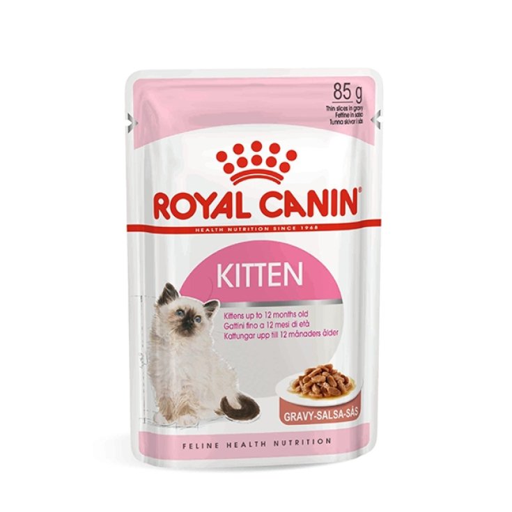 Kitten Instinctive in Salsa - 85GR