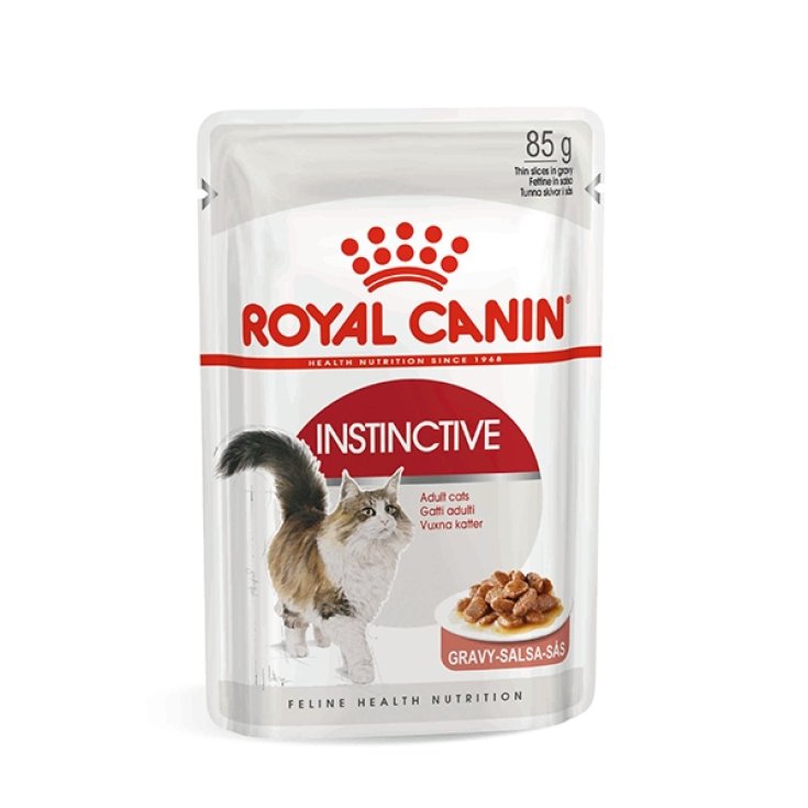 Instinctive in Salsa - 85GR