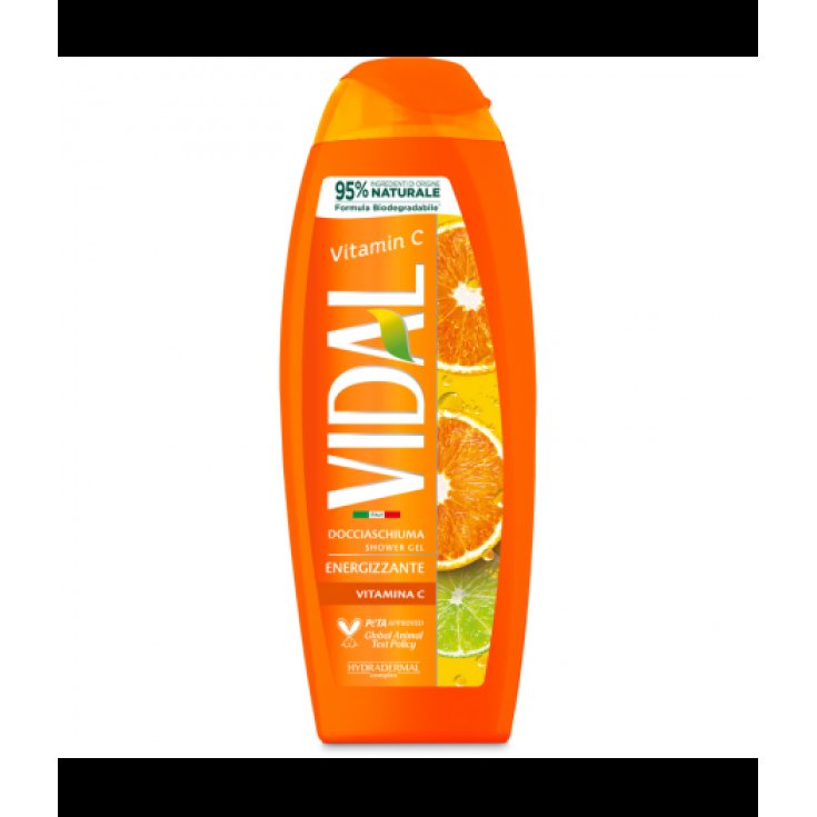 VIDAL NEW D/S VITAMINA C 250 ML