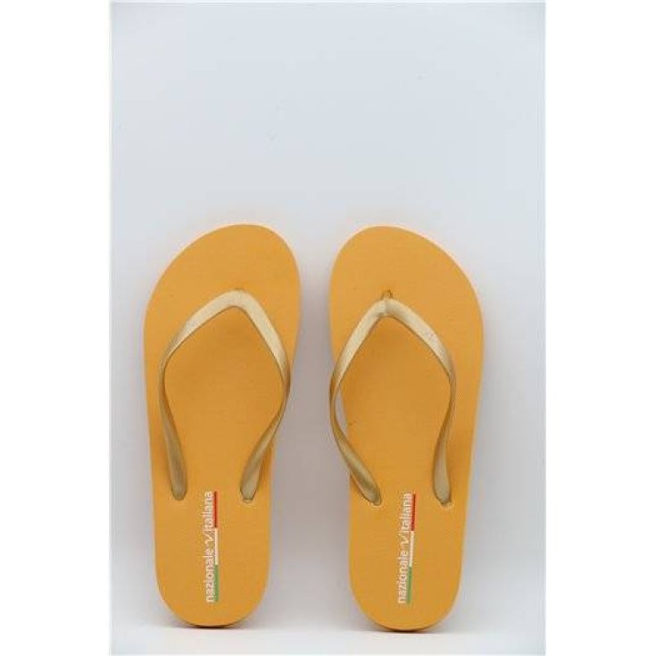 NAZ ITA.INF.D GOLD 40 N