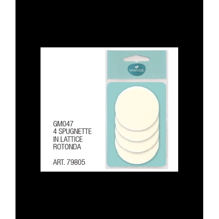 Spugnette In Lattice GM047&nbsp;VANTAGE 4 Pezzi
